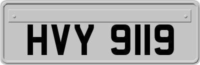 HVY9119