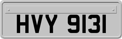 HVY9131
