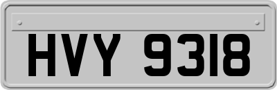 HVY9318