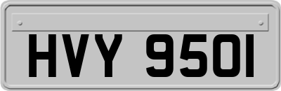 HVY9501