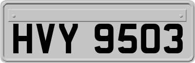 HVY9503