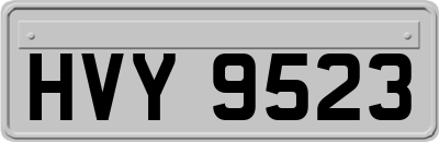 HVY9523