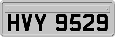 HVY9529