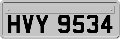 HVY9534