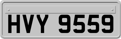 HVY9559
