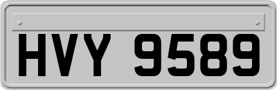 HVY9589