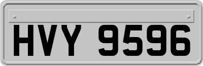 HVY9596