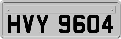HVY9604