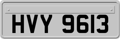 HVY9613