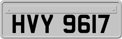 HVY9617