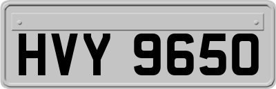 HVY9650
