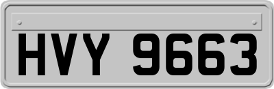 HVY9663