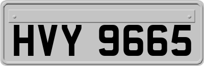 HVY9665