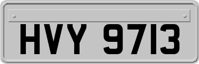 HVY9713