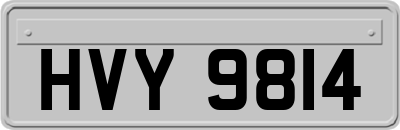 HVY9814