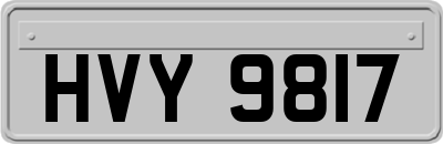 HVY9817