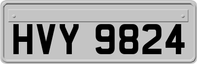 HVY9824
