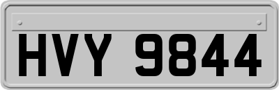 HVY9844
