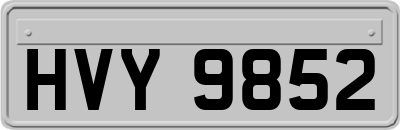 HVY9852