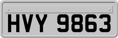 HVY9863