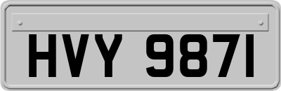 HVY9871