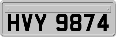 HVY9874