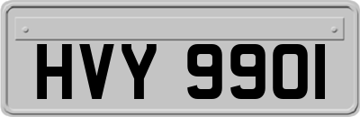 HVY9901