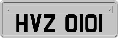 HVZ0101