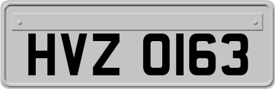 HVZ0163