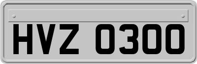 HVZ0300