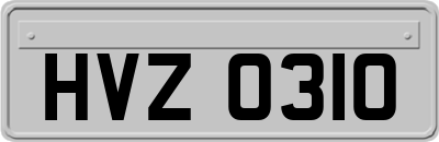 HVZ0310