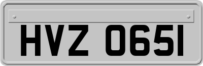 HVZ0651