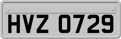HVZ0729