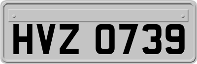 HVZ0739