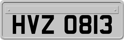 HVZ0813