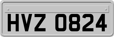 HVZ0824
