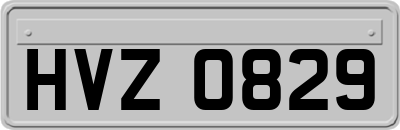 HVZ0829