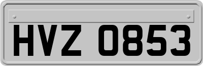 HVZ0853