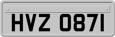 HVZ0871