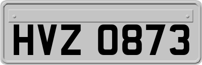 HVZ0873