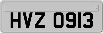 HVZ0913