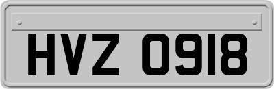 HVZ0918