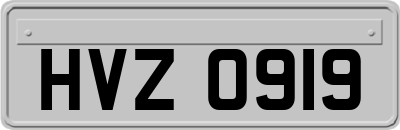 HVZ0919