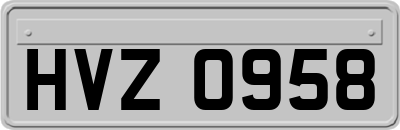 HVZ0958
