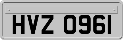 HVZ0961