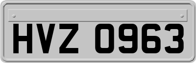 HVZ0963