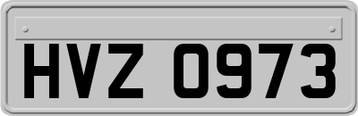 HVZ0973