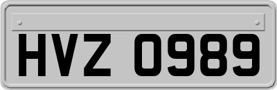 HVZ0989