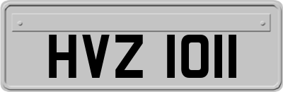 HVZ1011