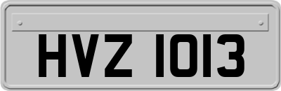 HVZ1013